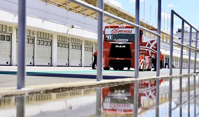 这种能力 这种能力