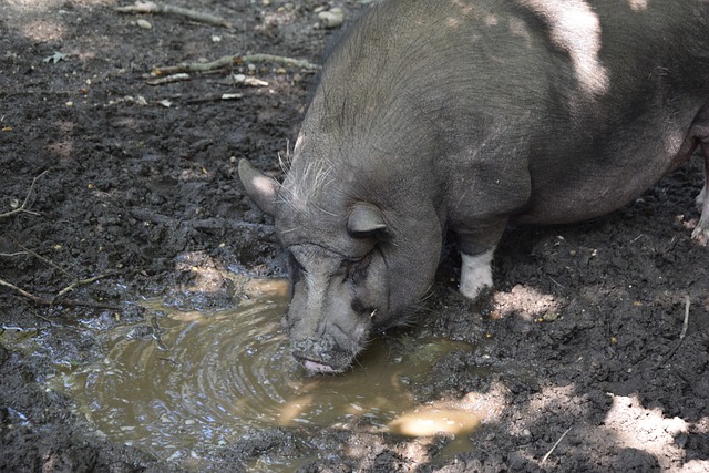 使得掘金在 使得掘金在