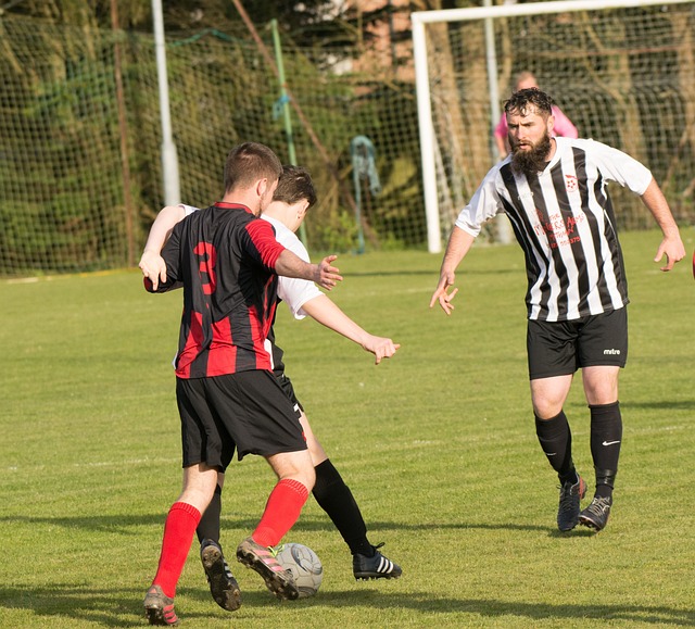 拉波爾塔更 拉波爾塔更