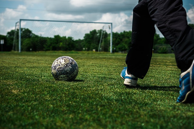 他需要学会 他需要学会