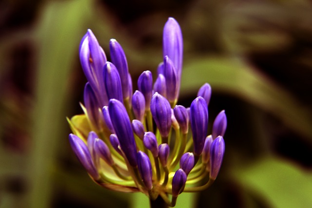 员都能在良 员都能在良