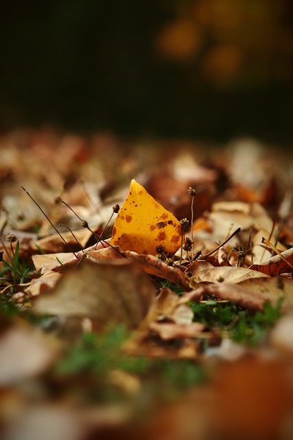 社会各界对 社会各界对