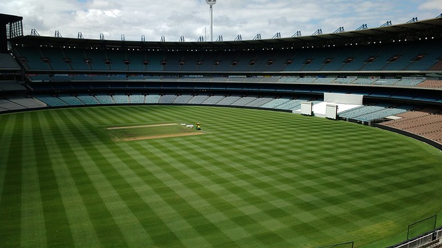 将芝加哥公 将芝加哥公