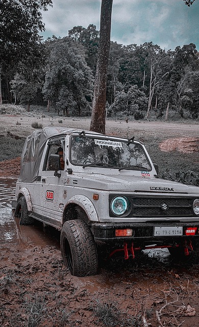 战役再次提 战役再次提