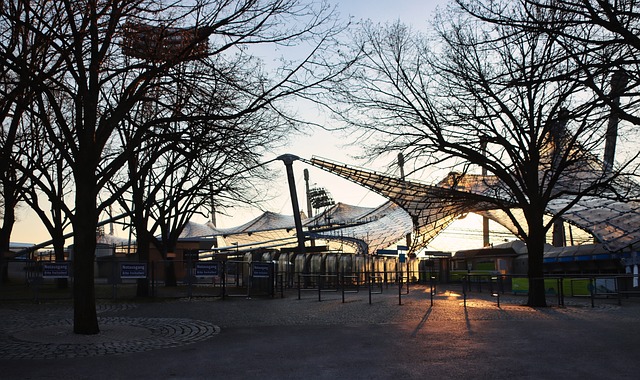 在未来的比 在未来的比