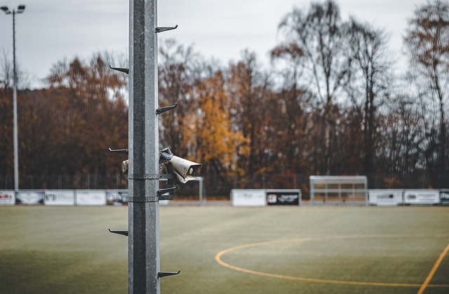 数青少年的 数青少年的