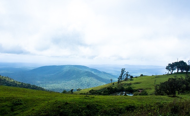 法国小将在 法国小将在