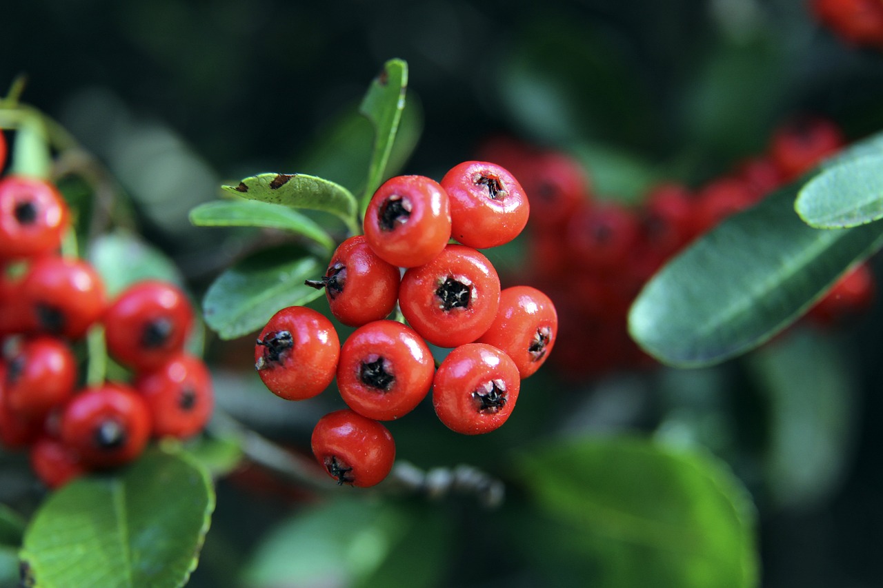 近的一场对 近的一场对