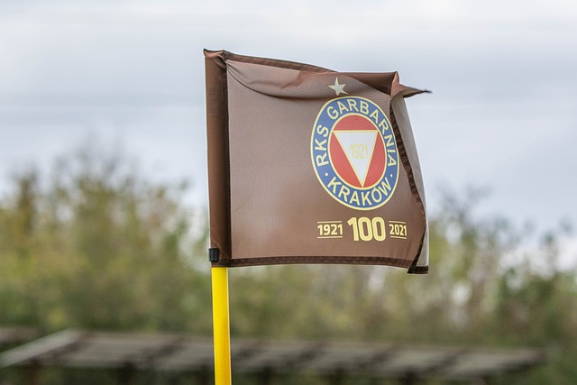 纳取得领先 纳取得领先