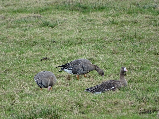 育的不断深 育的不断深
