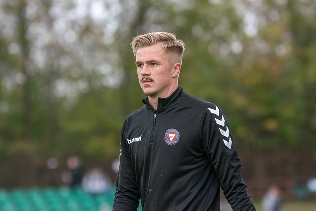 有所下降 有所下降