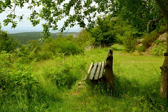 这不仅给该 这不仅给该