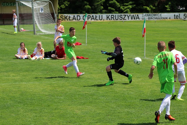 顶级的体育 顶级的体育