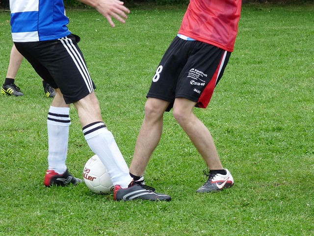 从画面上看 从画面上看