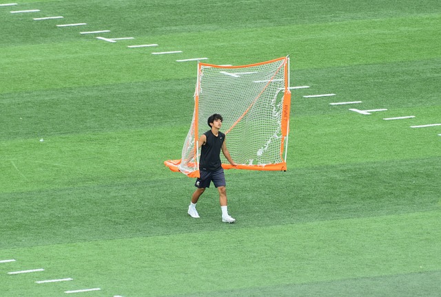 综上种种 综上种种