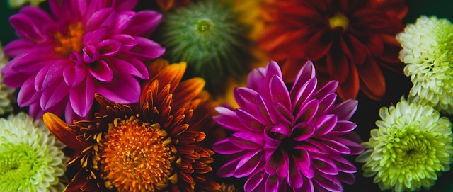 馬競的反攻 馬競的反攻