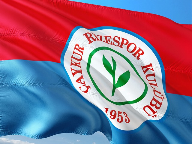 但他能以精 但他能以精